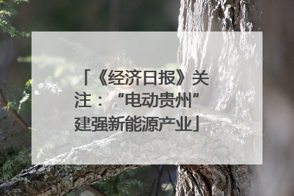 《经济日报》关注：“电动贵州”建强新能源产业
