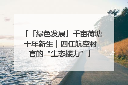 「绿色发展」千亩荷塘 十年新生｜四任航空村官的“生态接力”