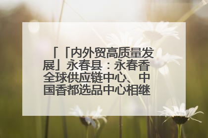 「内外贸高质量发展」永春县：永春香全球供应链中心、中国香都选品中心相继运营——一根香“点燃”百亿产业