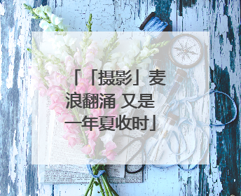 「摄影」麦浪翻涌 又是一年夏收时