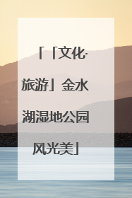 「文化·旅游」金水湖湿地公园风光美