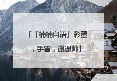「楠楠自语」彩蛋，手雷，邋遢帅