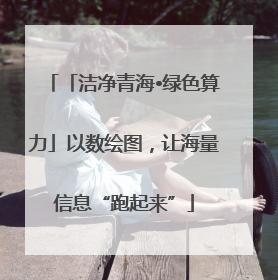 「洁净青海•绿色算力」以数绘图，让海量信息“跑起来”