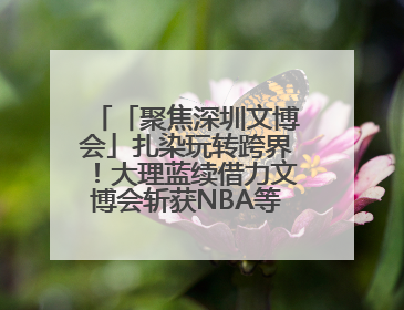 「聚焦深圳文博会」扎染玩转跨界！大理蓝续借力文博会斩获NBA等联名大单