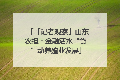 「记者观察」山东农担：金融活水“贷”动养殖业发展
