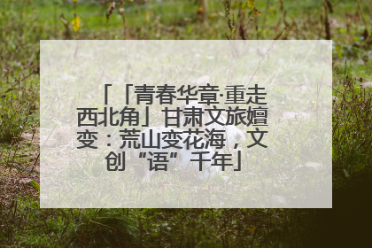 「青春华章·重走西北角」甘肃文旅嬗变：荒山变花海，文创“语”千年