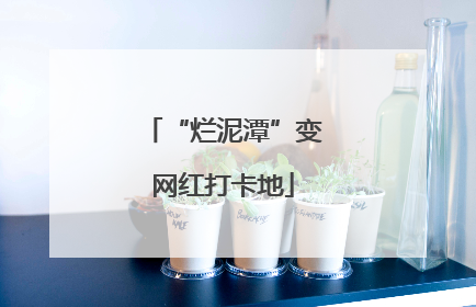 “烂泥潭”变网红打卡地