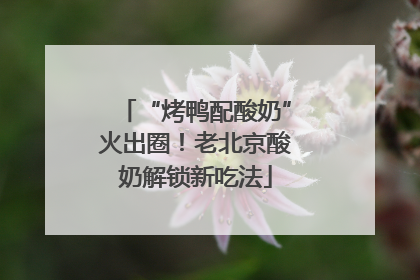 “烤鸭配酸奶”火出圈！老北京酸奶解锁新吃法