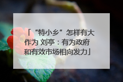“特小乡”怎样有大作为 刘亭：有为政府和有效市场相向发力
