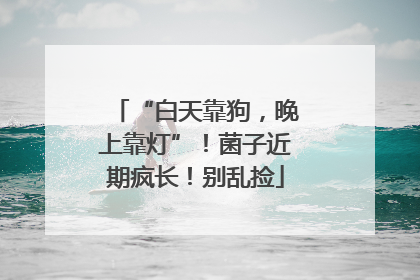“白天靠狗，晚上靠灯”！菌子近期疯长！别乱捡