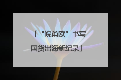 “皖甬欧”书写国货出海新纪录