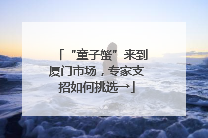“童子蟹”来到厦门市场，专家支招如何挑选→