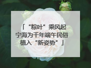 “粽叶”乘风起 宁海为千年端午民俗植入“新姿势”