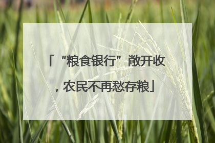 “粮食银行”敞开收，农民不再愁存粮