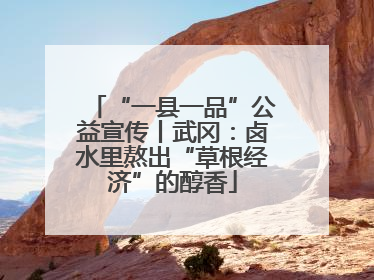 “一县一品”公益宣传丨武冈：卤水里熬出“草根经济”的醇香