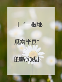 “一根地瓜富半县”的新实践
