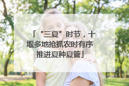 “三夏”时节，十堰多地抢抓农时有序推进夏种夏管