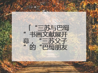 “三苏与巴蜀”书画文献展开幕，“三苏父子”的“巴蜀朋友圈”人物亮相