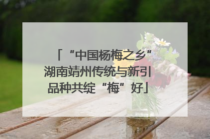 “中国杨梅之乡”湖南靖州传统与新引品种共绽“梅”好
