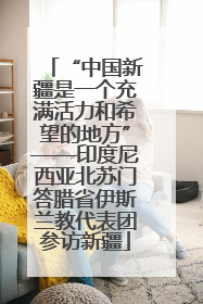 “中国新疆是一个充满活力和希望的地方”——印度尼西亚北苏门答腊省伊斯兰教代表团参访新疆