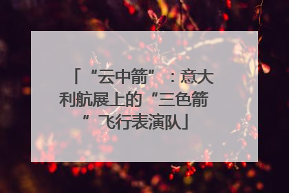 “云中箭”：意大利航展上的“三色箭”飞行表演队
