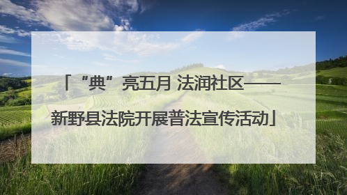 “典”亮五月 法润社区——新野县法院开展普法宣传活动