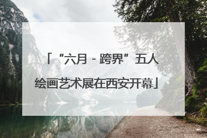 “六月 - 跨界”五人绘画艺术展在西安开幕