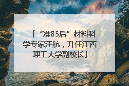 “准85后”材料科学专家汪航，升任江西理工大学副校长