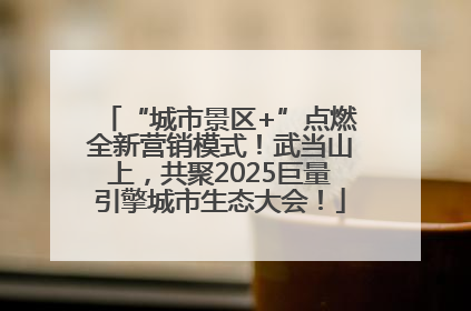 “城市景区+”点燃全新营销模式！武当山上，共聚2025巨量引擎城市生态大会！