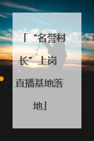 “名誉村长”上岗 直播基地落地