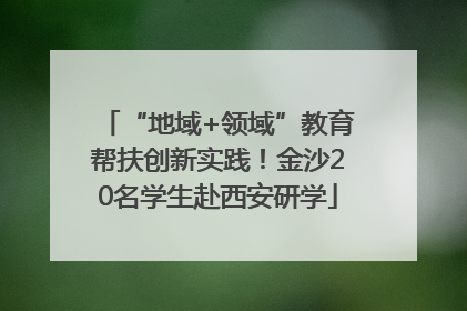 “地域+领域”教育帮扶创新实践！金沙20名学生赴西安研学