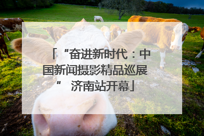 “奋进新时代：中国新闻摄影精品巡展” 济南站开幕