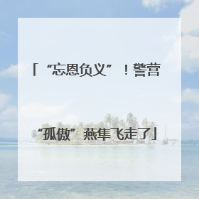 “忘恩负义”！警营“孤傲”燕隼飞走了