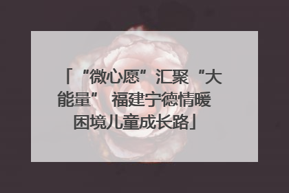 “微心愿”汇聚“大能量” 福建宁德情暖困境儿童成长路