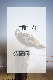 “救”在分毫间