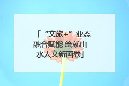 “文旅+”业态融合赋能 绘就山水人文新画卷