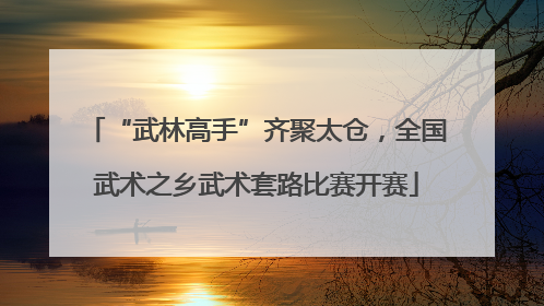 “武林高手”齐聚太仓，全国武术之乡武术套路比赛开赛