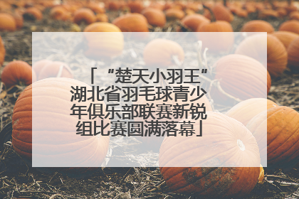 “楚天小羽王”湖北省羽毛球青少年俱乐部联赛新锐组比赛圆满落幕