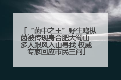 “菌中之王”野生鸡枞菌被传现身合肥大蜀山 多人跟风入山寻找 权威专家回应市民三问