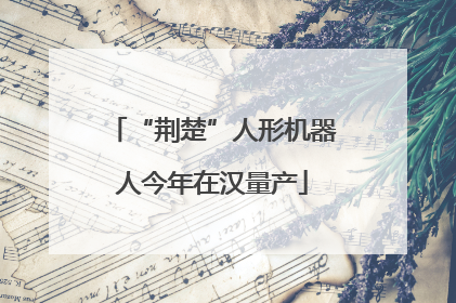 “荆楚”人形机器人今年在汉量产