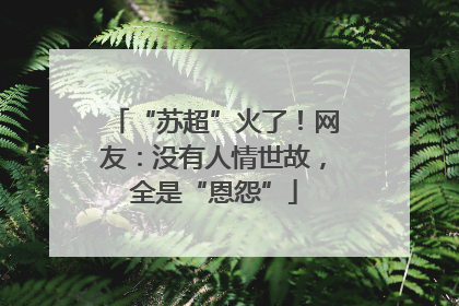 “苏超”火了！网友：没有人情世故，全是“恩怨”