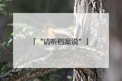 “请听档案说”