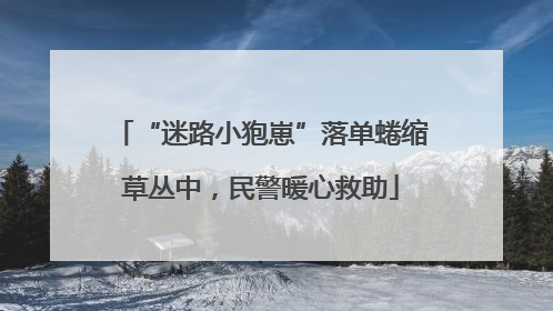 “迷路小狍崽”落单蜷缩草丛中，民警暖心救助