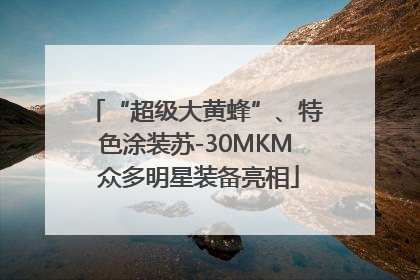 “超级大黄蜂”、特色涂装苏-30MKM 众多明星装备亮相