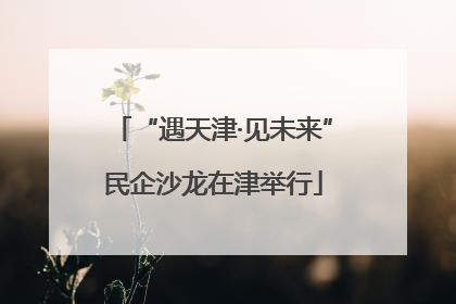 “遇天津·见未来”民企沙龙在津举行