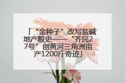 “金种子”改写盐碱地产粮史——“齐民27号”创黄河三角洲亩产1200斤奇迹