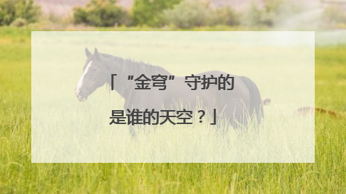 “金穹”守护的是谁的天空？