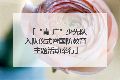 “青-广”少先队入队仪式暨国防教育主题活动举行