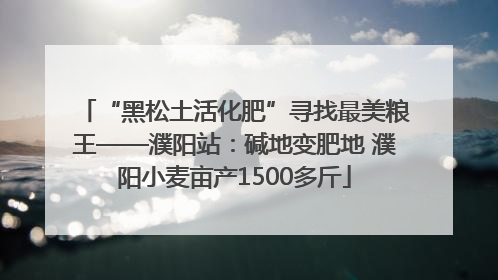 “黑松土活化肥”寻找最美粮王——濮阳站：碱地变肥地 濮阳小麦亩产1500多斤