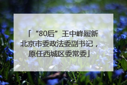“80后”王中峰履新北京市委政法委副书记，原任西城区委常委